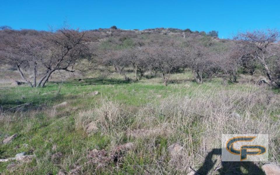 Cerro Los Cristales - sector Zapallar — foto 3