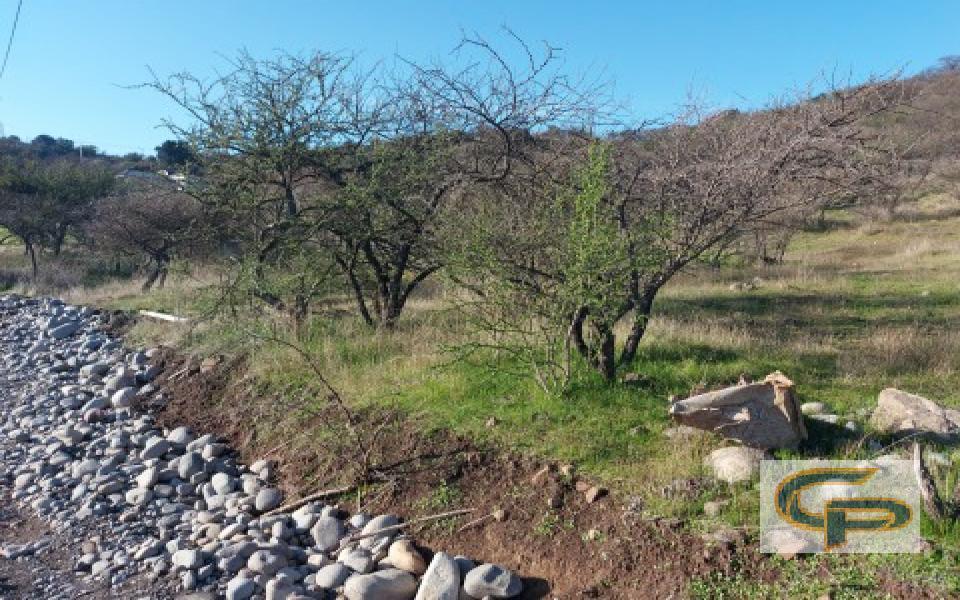 Cerro Los Cristales - sector Zapallar — foto 4