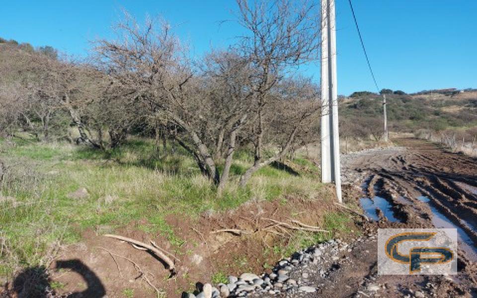 Cerro Los Cristales - sector Zapallar — foto 5