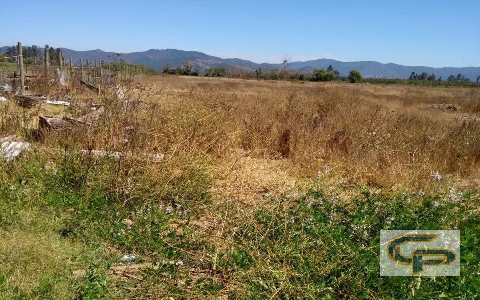 Parcelación Huerta Sur - Lote 03 — foto 4