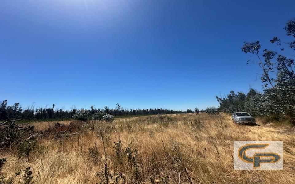 Los Niches - Los Castaños — foto 3
