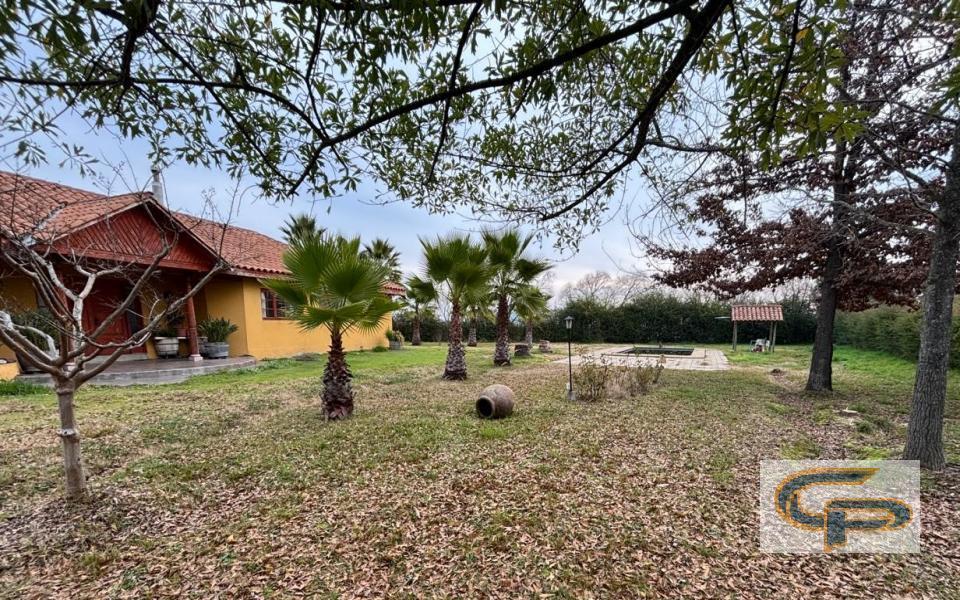 Las Margaritas - Hacienda Teno — foto 4