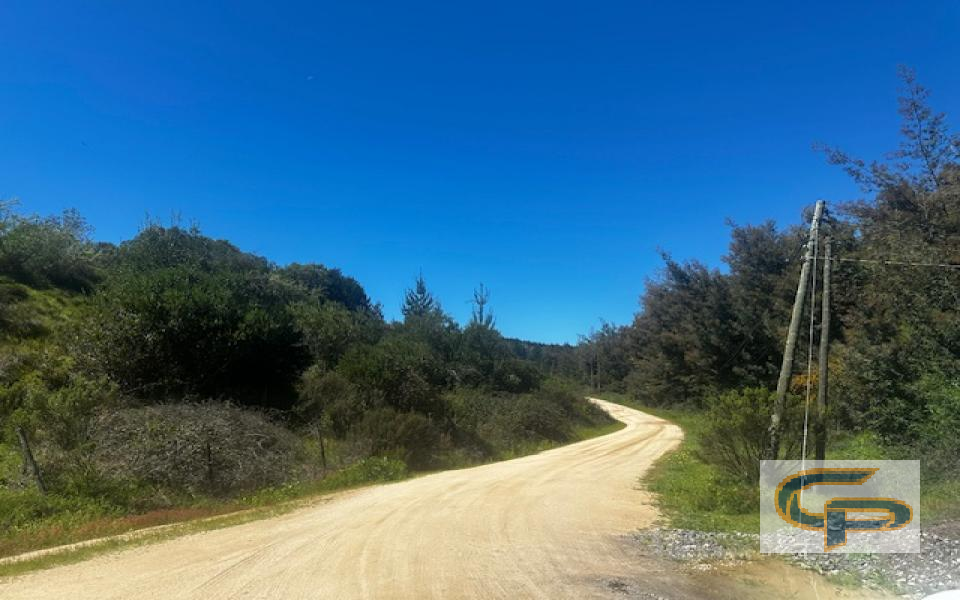 Hualañe - Camino El Sauce Km 8,5 — foto 2