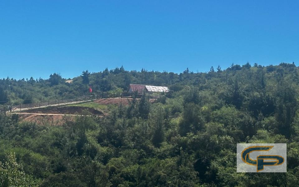 Hualañe - Camino El Sauce Km 8,5 — foto 4