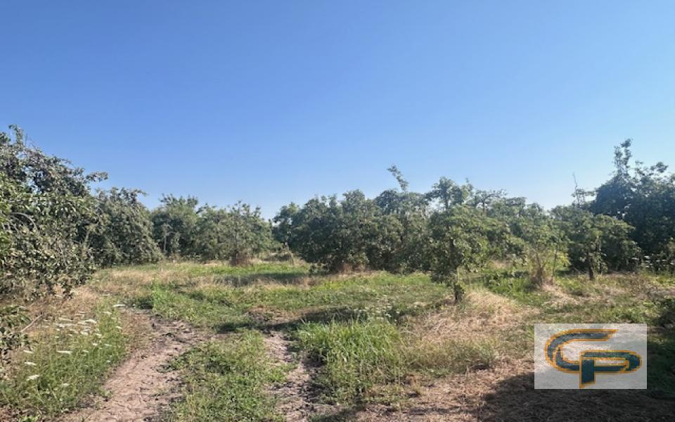 Tutuquen - Parcela El Cortijo — foto 1