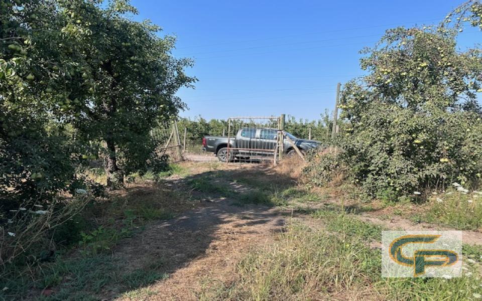 Tutuquen - Parcela El Cortijo — foto 3