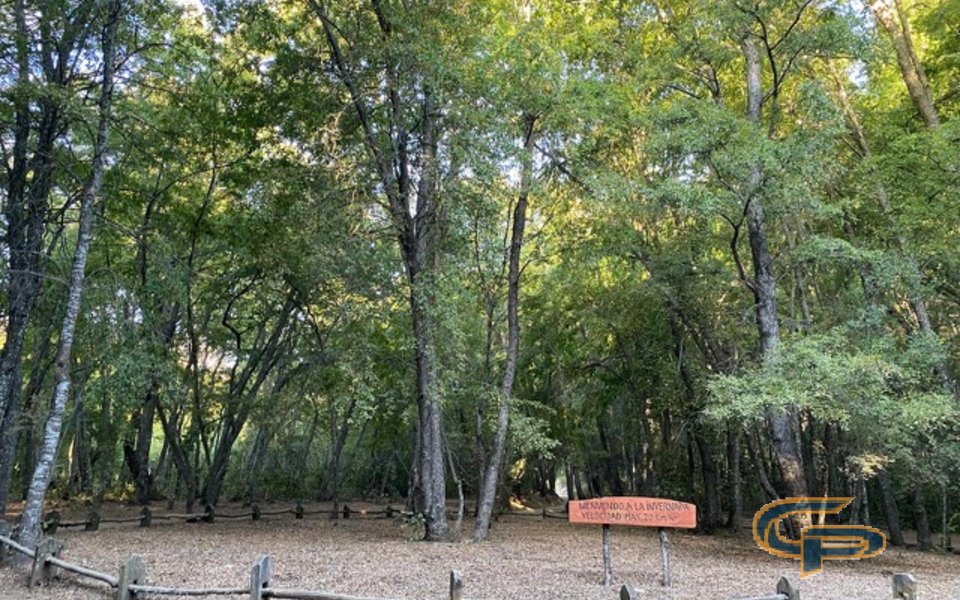 La Invernada - Sitio 12 — foto 2