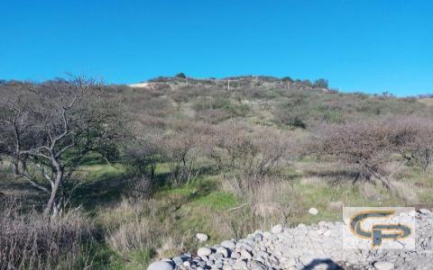 Cerro Los Cristales - sector Zapallar