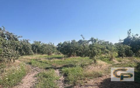 Tutuquen - Parcela El Cortijo